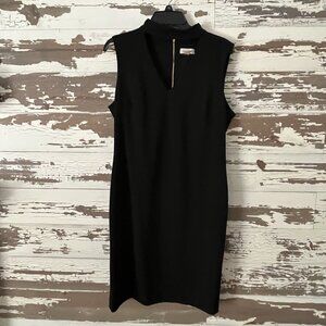 NWOT Calvin Klein V-neck Sheath Dress with Choker size 12